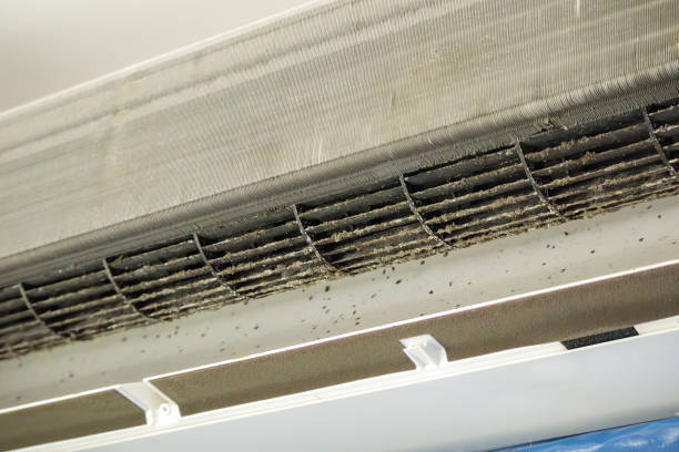 Best Air Quality Test  in Galt, CA